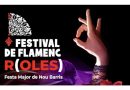 El festival de flamenc divers (R)oles s’integra aquest cop a la Festa Major de Nou Barris