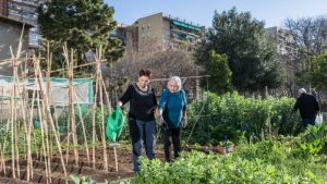 Hort Trinitat